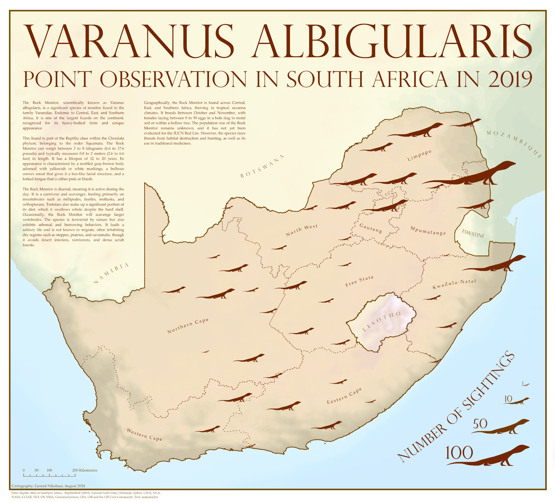 Rock Monitor South Africa